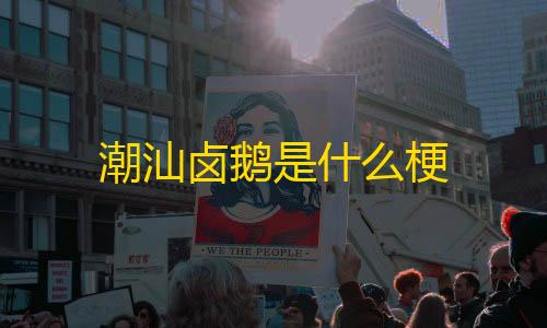 暗区突围透视科技潮汕卤鹅是什么梗